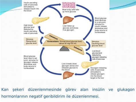 Signs of insulin reaction: Diabetic Shock and Insulin Reactions: Causes ...