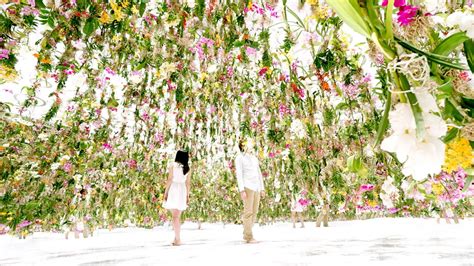 2,300 Floating Flowers: Interactive Garden Makes Way as You Walk | Urbanist