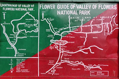 Best Time To Visit Valley Of Flowers - Detailed Trek Itinerary