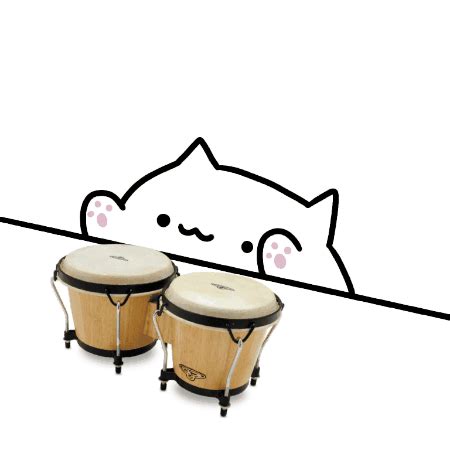Bongo Cat Gif Transparent Background - IMAGESEE