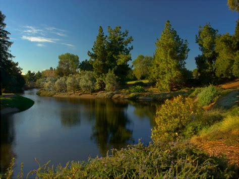 Information about "UC Davis Arboretum Mediterranean Section.jpg" on ...