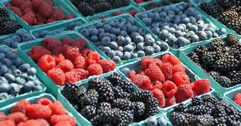 Oregonians Encouraged To "Celebrate Berries" | MyCentralOregon.com ...