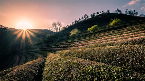 Korea’s South Jeolla province is becoming a solar hub – pv magazine ...