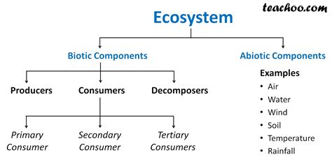 Components of Ecosystem - Biotic and Abiotic - Teachoo - Concepts