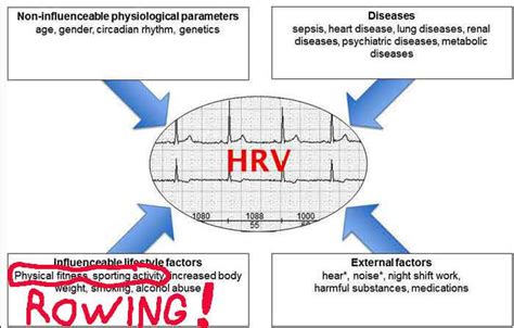 Anticipating The HRV Coach – Ethereal Rowing