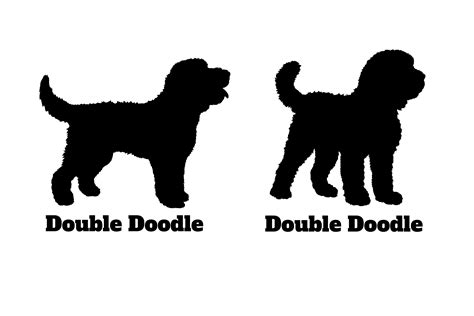 Double Doodle Dog Silhouette SVG Vector Graphic by Pony3000 · Creative Fabrica