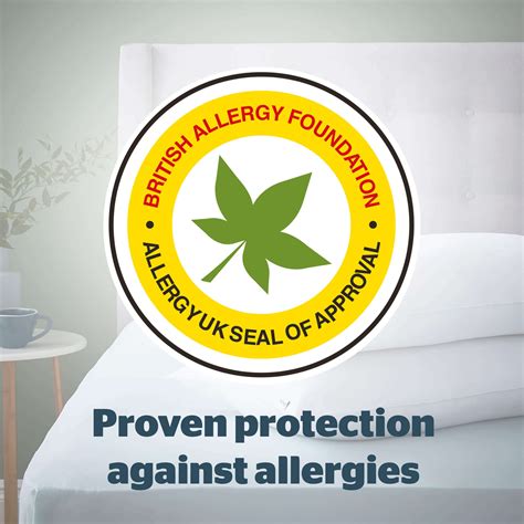 Silentnight Anti-Allergy Pillows - 4 Pack | Pillows | Sleepy People