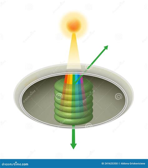 Photosynthesis, the Process by Which Light Energy is Converted To ...