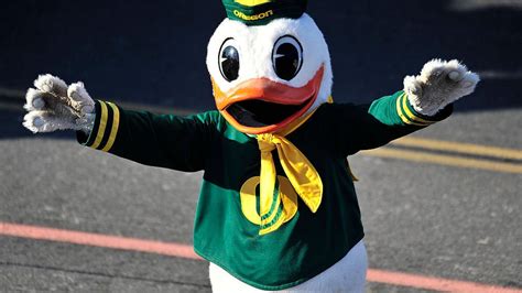 Latest Oregon Ducks Mascot, News, Rumors, and Articles by OutKick