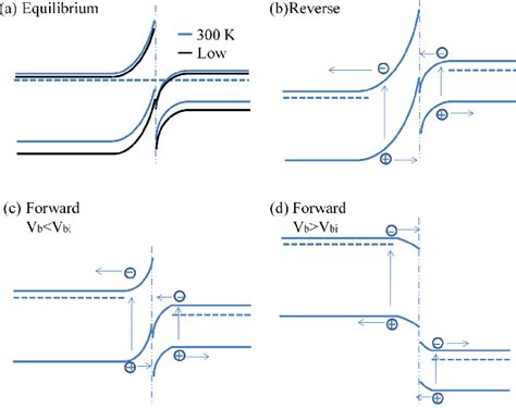 [DIAGRAM] Wiring Diagram Forward - MYDIAGRAM.ONLINE