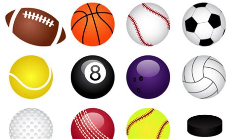 How to Organize Sports Balls | Appleshine