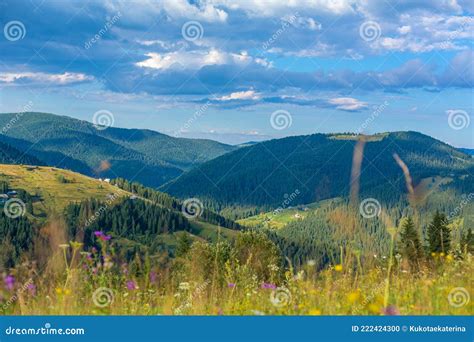 Summer Nature Landscape of Karpaty Mountains. Stock Photo - Image of ...