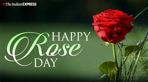 Happy Rose Day 2021: Wishes Images, Quotes, Status, HD Wallpapers, GIF Pics, Greetings Card ...