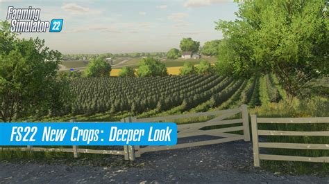 Farming Simulator 22 Crops: A Deeper Look - FS22