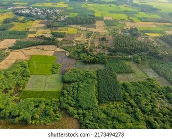 3,495 Terrace farming india Images, Stock Photos & Vectors | Shutterstock