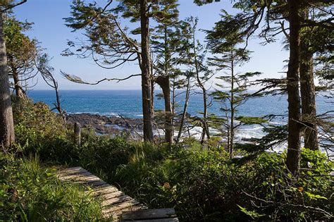 Raise your voice! Two opportunities to say 'No' to development on the Juan de Fuca Trail ...