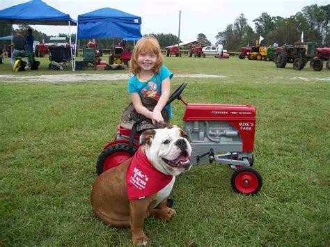 Tractor Show | In the Field