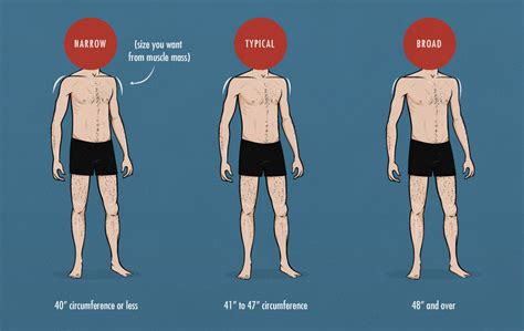 The ideal male shoulder ratio, and how to get it — Bony to Beastly