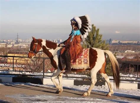 60 Native American Horse Names with Meanings - The Paws