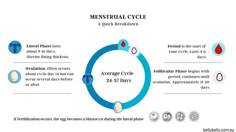 Luteal Phase I What Is It And How Long Does It Last?