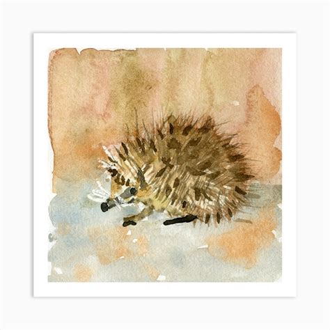 Hedgehog Watercolor Painting Art Print by Carrieation - Fy