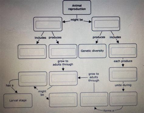 Animal Reproduction Diagram