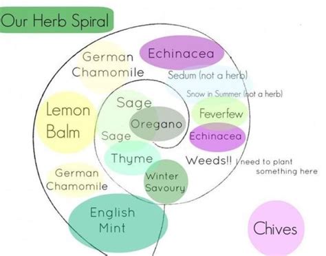 How to plant spiral herbal gardens correctly - list with suitable plants and planting plans | My ...