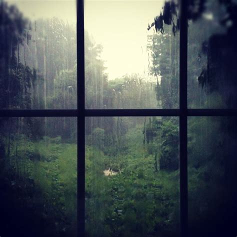 Images For > Rainy Day Window