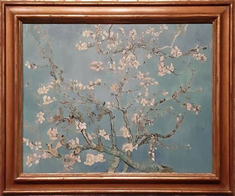 Photo of the Famous Original Painting: `Almond Blossom` by Vincent Van Gogh Editorial ...