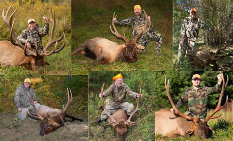 Six Hunters Successful in the Inaugural Elk Hunt in the Elk Management ...