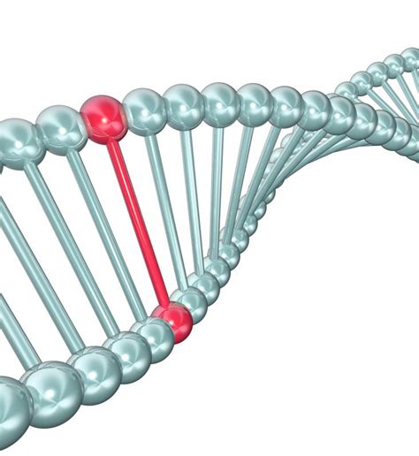 What Causes Thrombin Gene Mutation? (with pictures)