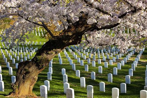 US Military Veterans Cemetery & Casualty Records Online