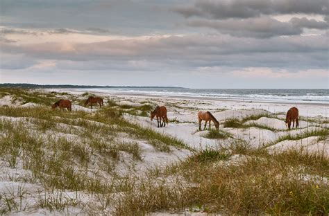 The best beaches in Georgia - Lonely Planet