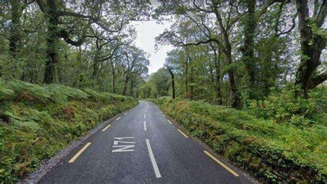 Glengarriff Nature Reserve: 4 Top Walks for 2024