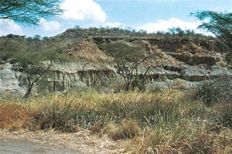 Olduvai Gorge | Archaeological Site, Tanzania, Human Evolution | Britannica