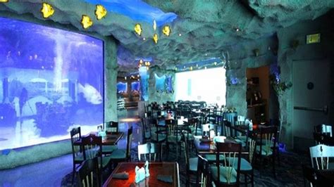 The Downtown Aquarium In Houston Tx Prices - Aquarium Views