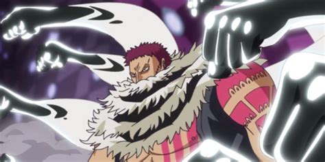 One Piece: All 7 Types Of Devil Fruits In The Franchise, Ranked