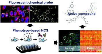 High-content Screening (HCS) - Creative Biostucture Drug Discovery