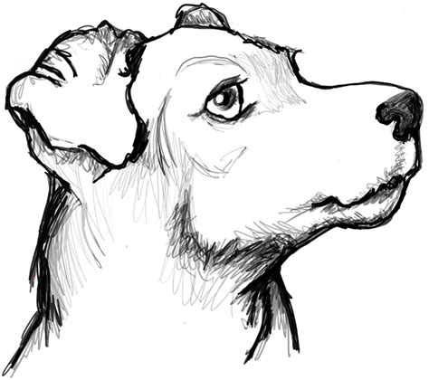 How to Draw a Terrier's Face / Dog's Face with Easy Steps - How to Draw Step by Step Drawing ...