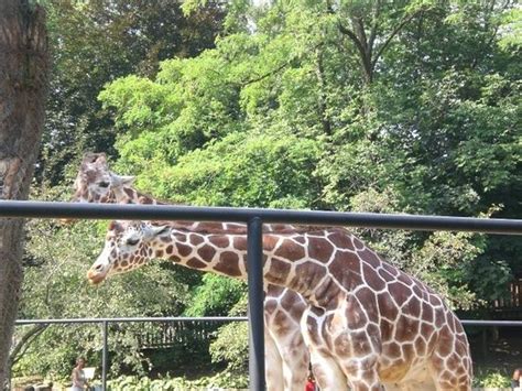 Erie Zoo (PA): Hours, Address, Attraction Reviews - TripAdvisor