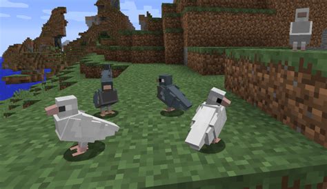 Exotic Birds Mod for Minecraft 1.8/1.7.10 | MinecraftSix