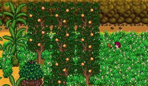 Stardew Valley: The Best Fruit Trees (All 8 Ranked) – FandomSpot