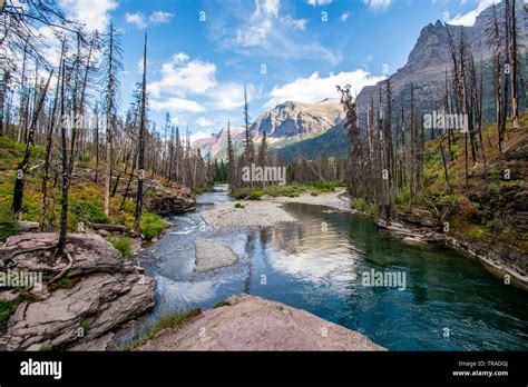 St Mary's Falls Trail, Glacier National Park Stock Photo - Alamy