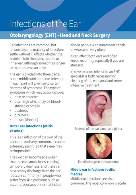 Otitis Media Vs Normal Ear