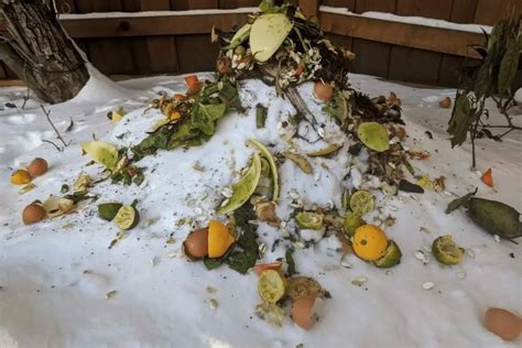 Composting in Winter: The Best How-To Guide – Yuzu Magazine