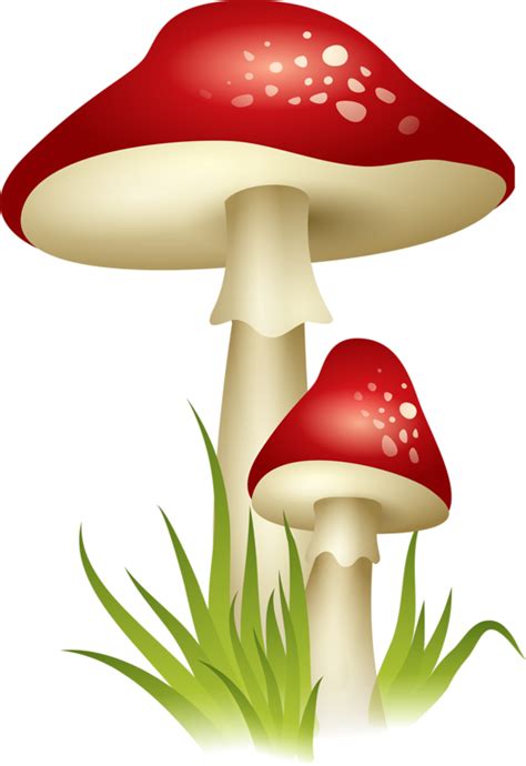 Mushrooms clipart fairy mushroom, Mushrooms fairy mushroom Transparent FREE for download on ...