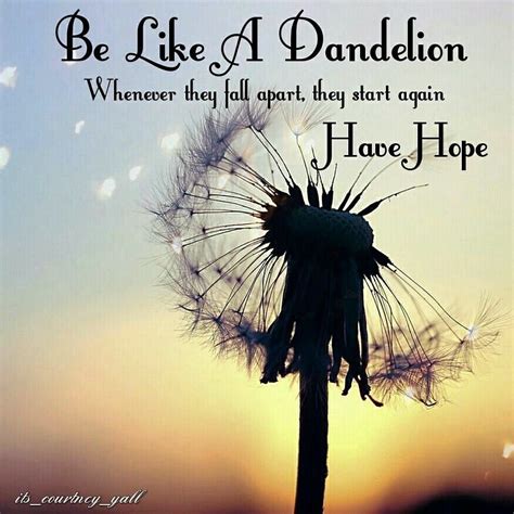 Dandelion Wish Quotes