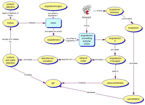 bloodpressure - What is the mechanism of MAP control?