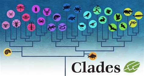 Clades & Clades Prehistoric | Home