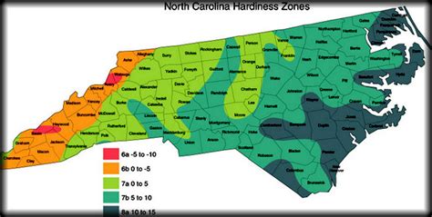 LushGreenVA: Mid-Atlantic 2nd Half Vegetable Planting Dates (Zone 7- Virginia, Maryland & North ...